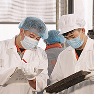  精于茶，良心茶遵循傳統制茶工藝